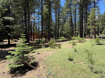12510 Granite Drive, Truckee, CA 96161 Photo