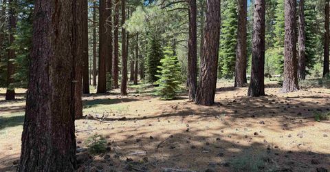 12510 Granite Drive, Truckee, CA 96161 Photo