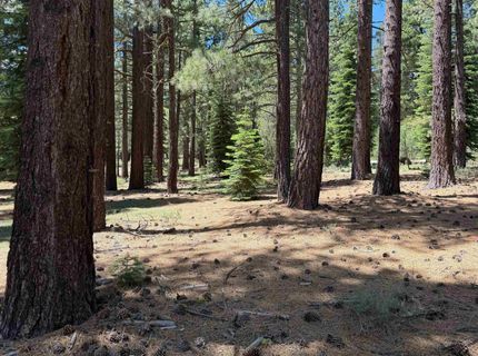 12510 Granite Drive, Truckee, CA 96161 Photo