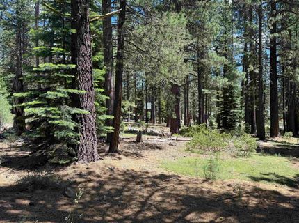 12510 Granite Drive, Truckee, CA 96161 Photo