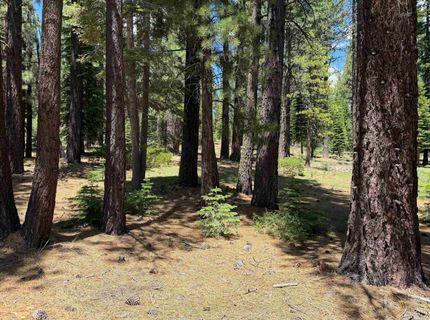 12510 Granite Drive, Truckee, CA 96161 Photo