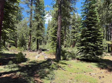 12510 Granite Drive, Truckee, CA 96161 Photo