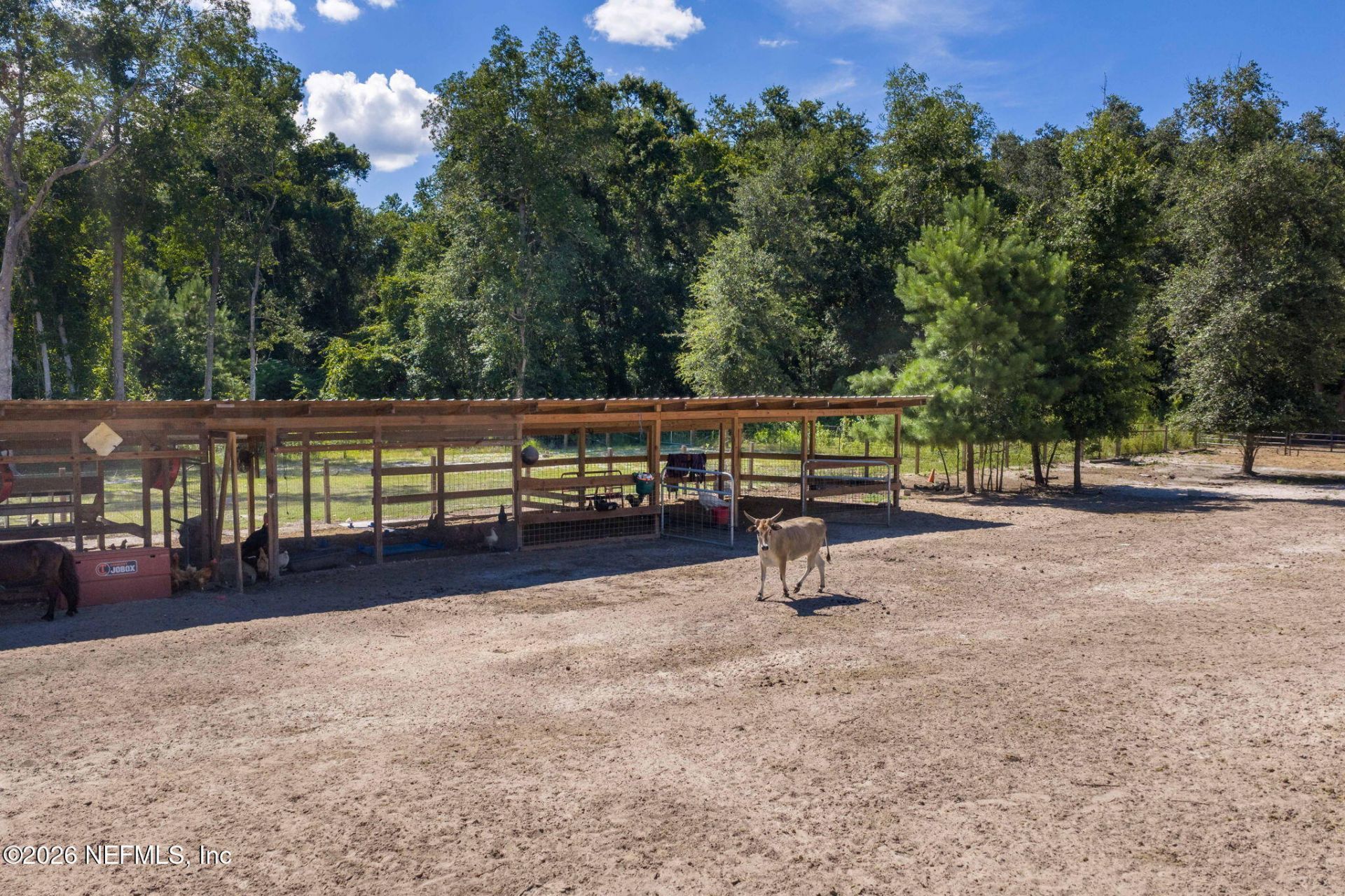 318 Branding Iron Drive, Maxville, FL 32234 Photo