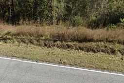 3081 Congaree Fords  photo 4