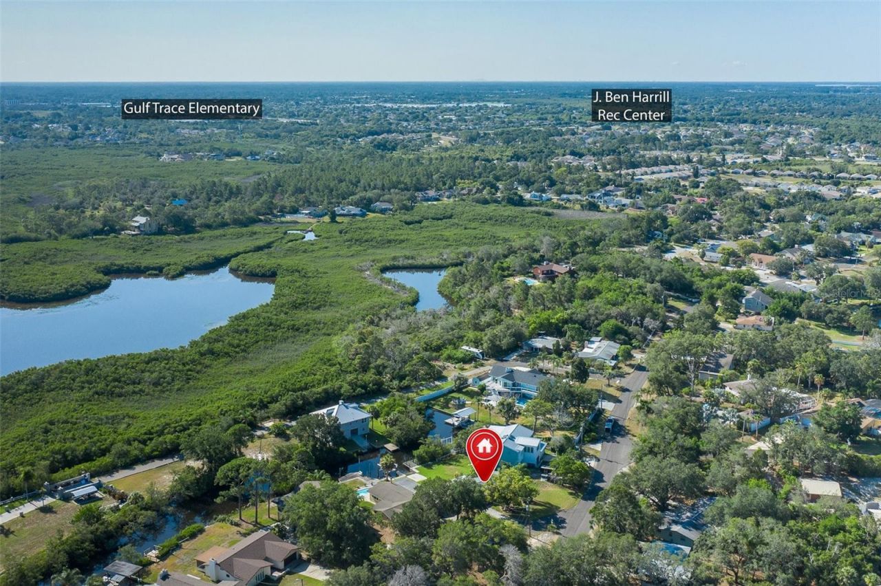 3318 Pineview Drive , Holiday, FL 34691 Photo