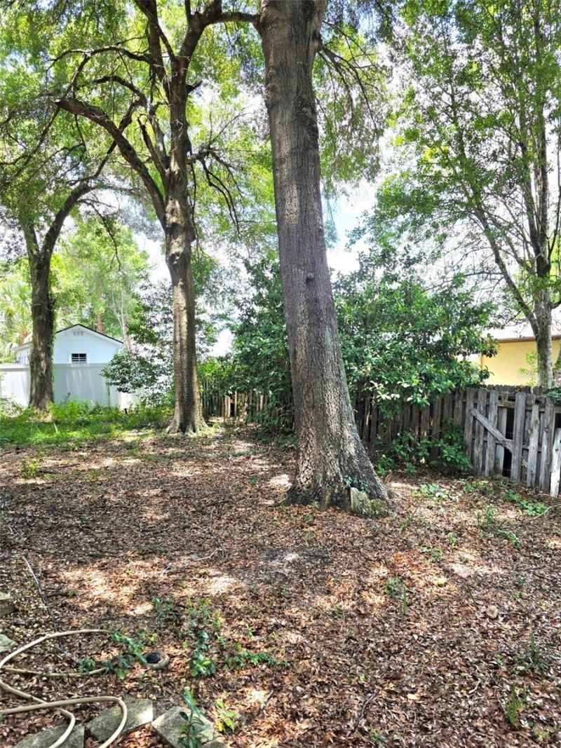 5419 SW 84th Place, Ocala, FL 34476 Photo
