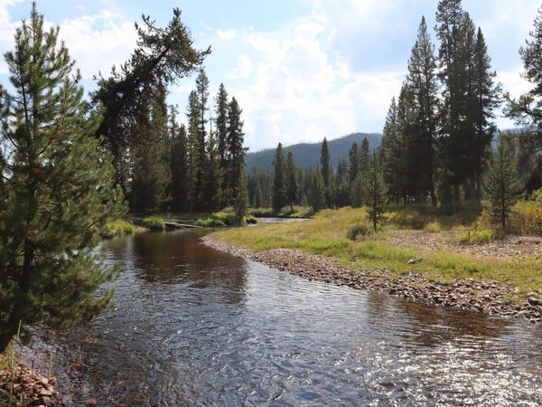 L49 Secesh River Road, McCall, ID 83638