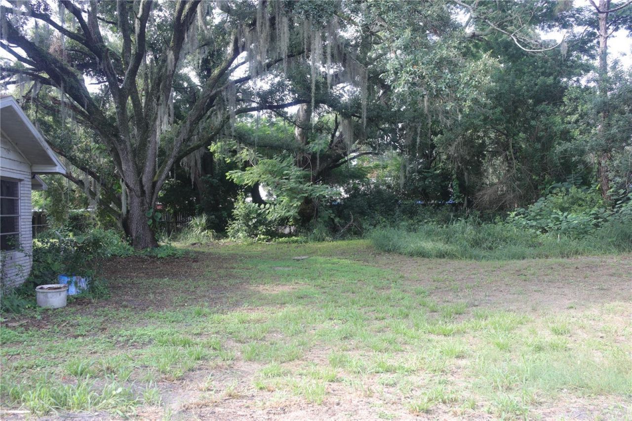 2420 Nelson Street, Auburndale, FL 33823 Photo