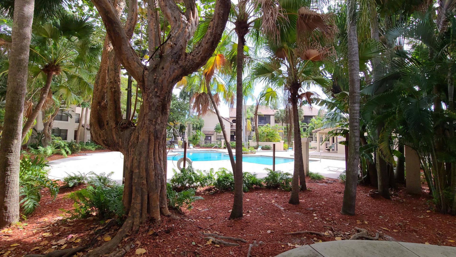 4501 W Mcnab Road, Unit 11, Pompano Beach, FL 33069 Photo