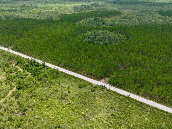 0 Fire Tower Road, Manor, GA 31550