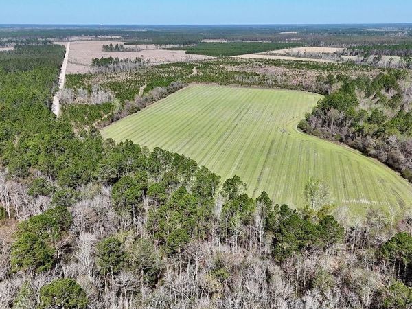 Tract 6 Ingram Road, Odum, GA 31555