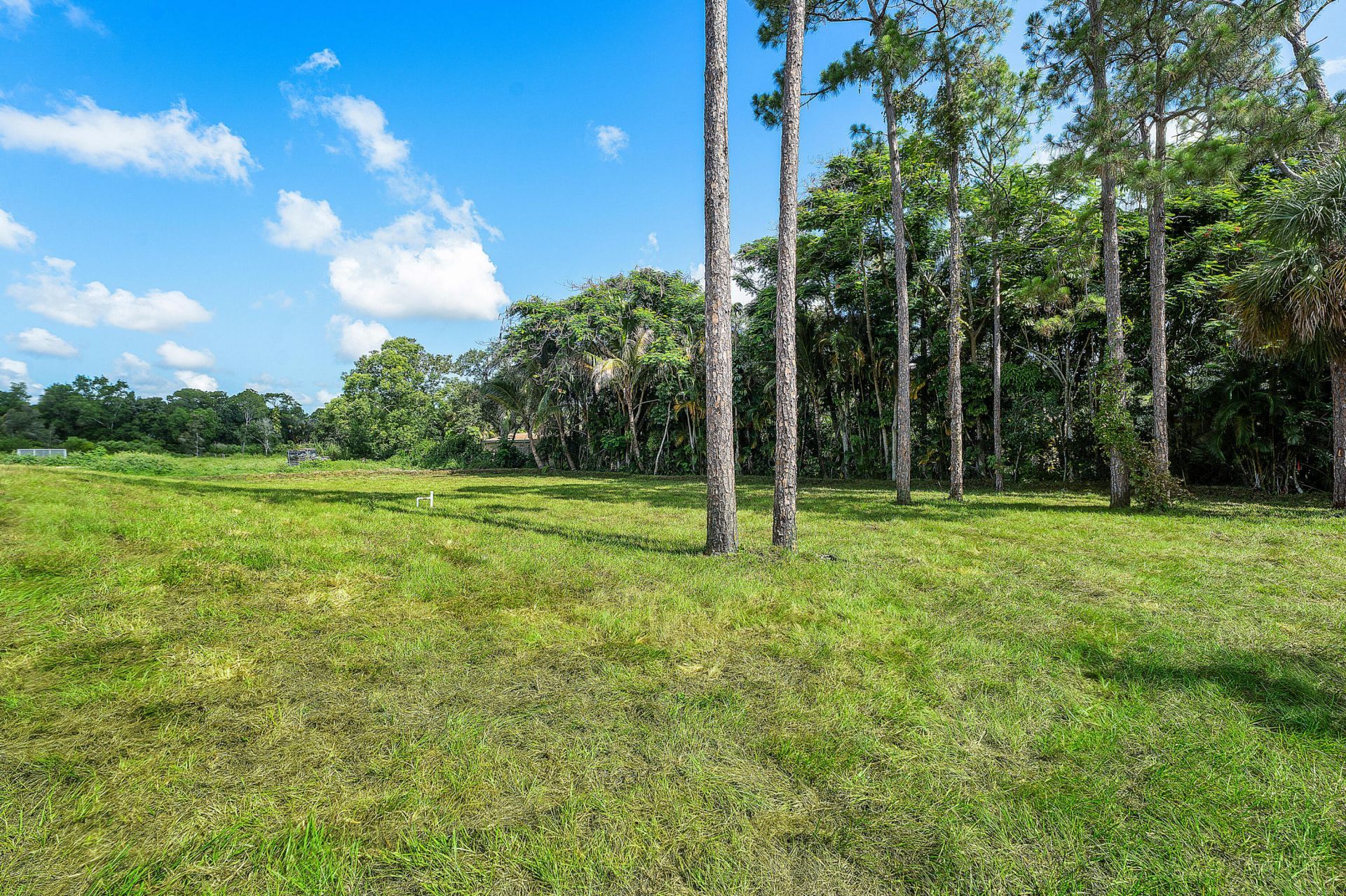 11701 153rd Court N, Jupiter, FL 33478 Photo