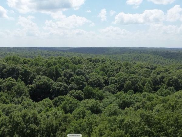 0 Owl Circle , Unit 88&89, Hurricane Mills, TN 37078
