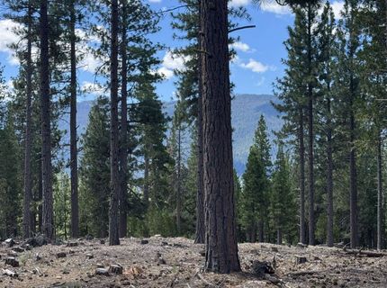 2245 Xanadu Road, Clio, CA 96106 Photo