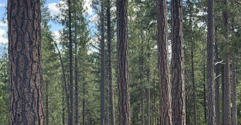 2245 Xanadu Road, Clio, CA 96106 Photo