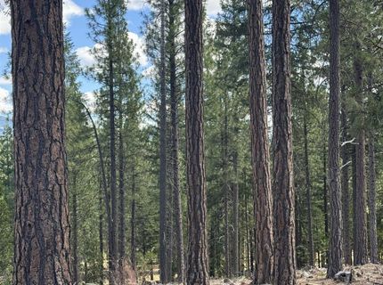 2245 Xanadu Road, Clio, CA 96106 Photo