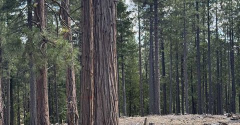 2245 Xanadu Road, Clio, CA 96106 Photo
