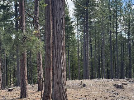 2245 Xanadu Road, Clio, CA 96106 Photo