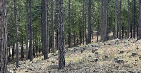2245 Xanadu Road, Clio, CA 96106 Photo