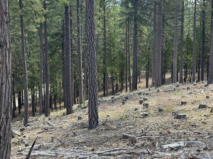 2245 Xanadu Road, Clio, CA 96106 Photo
