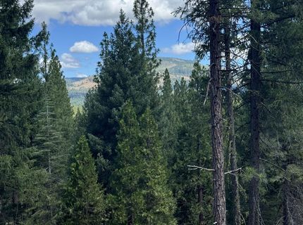 2245 Xanadu Road, Clio, CA 96106 Photo