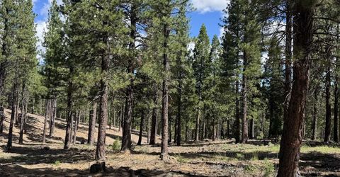 2245 Xanadu Road, Clio, CA 96106 Photo