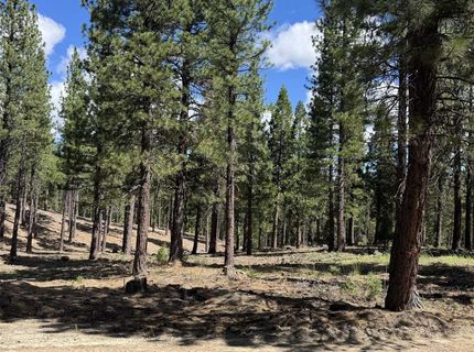 2245 Xanadu Road, Clio, CA 96106 Photo