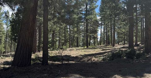2245 Xanadu Road, Clio, CA 96106 Photo