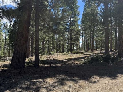 2245 Xanadu Road, Clio, CA 96106 Photo