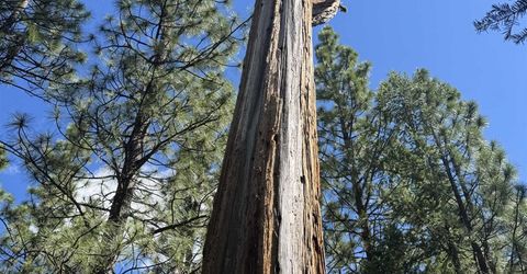 2245 Xanadu Road, Clio, CA 96106 Photo