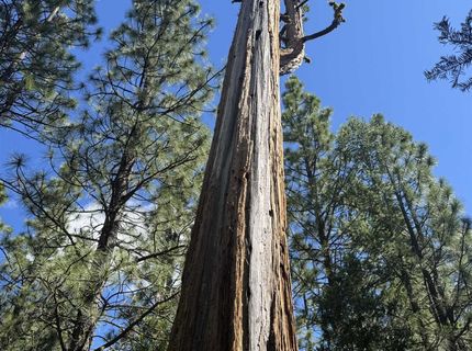 2245 Xanadu Road, Clio, CA 96106 Photo