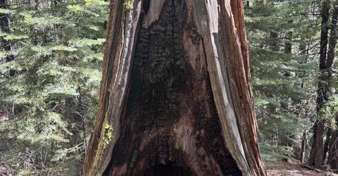 2245 Xanadu Road, Clio, CA 96106 Photo
