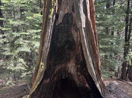 2245 Xanadu Road, Clio, CA 96106 Photo