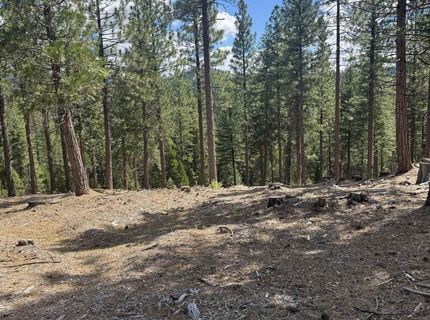 2245 Xanadu Road, Clio, CA 96106 Photo