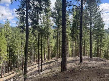 2245 Xanadu Road, Clio, CA 96106 Photo