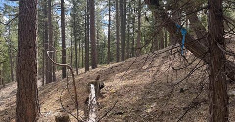 2245 Xanadu Road, Clio, CA 96106 Photo