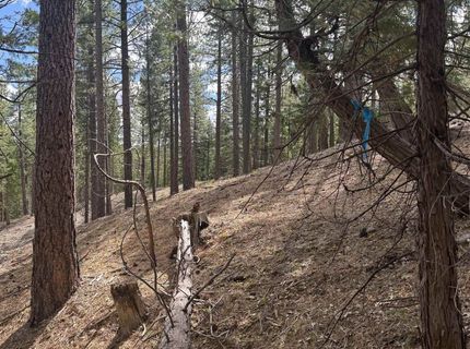 2245 Xanadu Road, Clio, CA 96106 Photo
