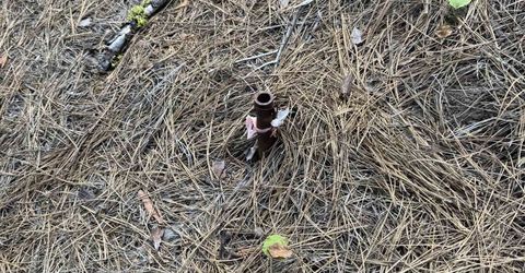 2245 Xanadu Road, Clio, CA 96106 Photo
