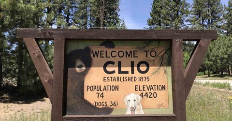 2245 Xanadu Road, Clio, CA 96106 Photo