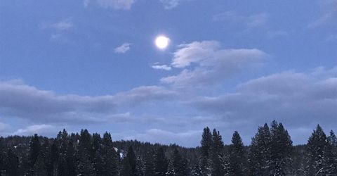 2245 Xanadu Road, Clio, CA 96106 Photo