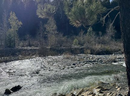 2245 Xanadu Road, Clio, CA 96106 Photo