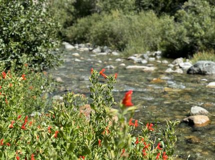 2245 Xanadu Road, Clio, CA 96106 Photo