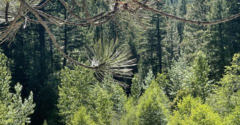 2245 Xanadu Road, Clio, CA 96106 Photo