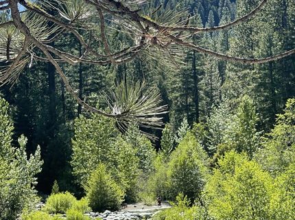 2245 Xanadu Road, Clio, CA 96106 Photo