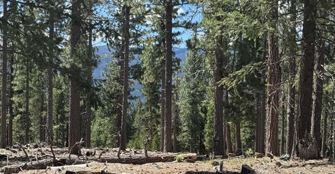 2245 Xanadu Road, Clio, CA 96106 Photo