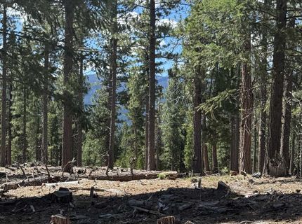 2245 Xanadu Road, Clio, CA 96106 Photo