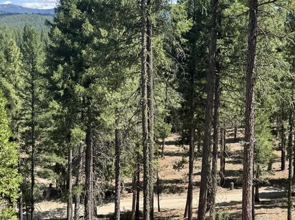 2245 Xanadu Road, Clio, CA 96106 Photo