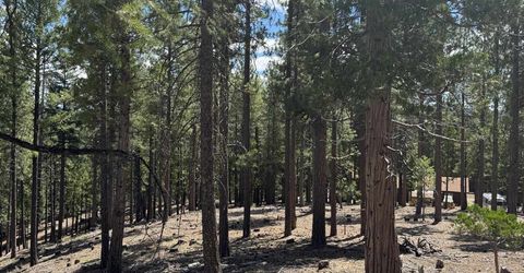 2245 Xanadu Road, Clio, CA 96106 Photo