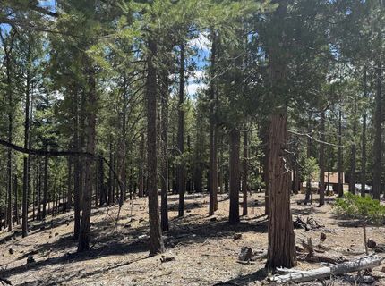 2245 Xanadu Road, Clio, CA 96106 Photo