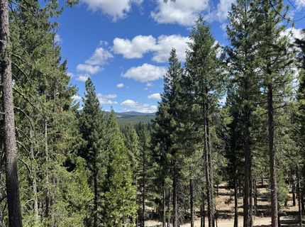 2245 Xanadu Road, Clio, CA 96106 Photo